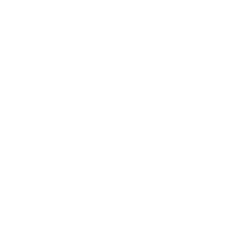 DMK Filo Logo